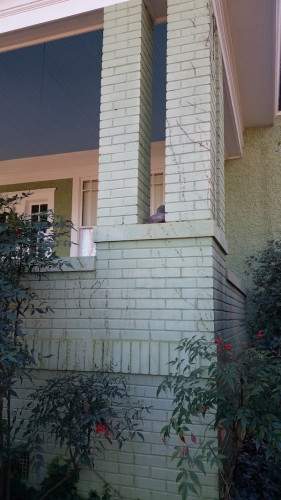 Close up of arches pre